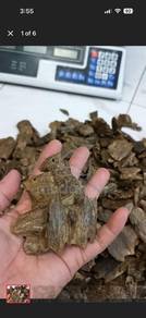 Gaharu Kynam Agarwood  Qinan