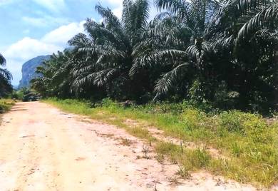 Agricultural Land in Kuala Krai, KTN