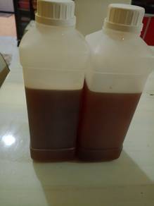 madu kelulut asli