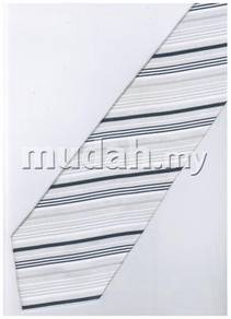 ES9 Silver White Quality Striped Formal Neck Tie