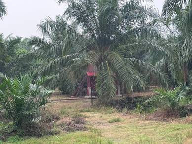 Residential Land in Sungai Besar, SGR