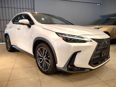 Lexus NX 250 LUXURY in Petaling Jaya, SGR