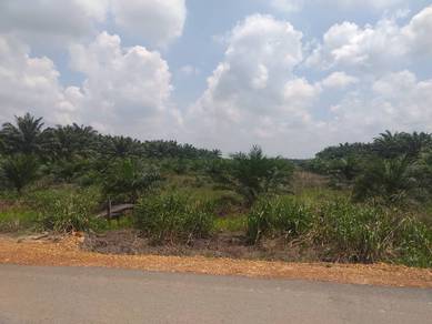 Agricultural Land in Simpang Renggam, JHR