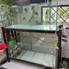Aquarium untuk dijual, Percuma filter Dan oksigen 