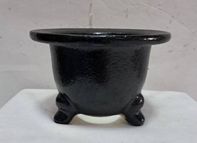 Miniature pot, miniature bonsai, succulents, moss 