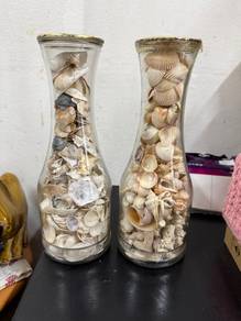 seashells