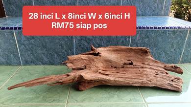 aquarium driftwood body licin