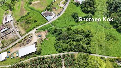 Agricultural Land in Kuching, SWK