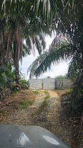 Agricultural Land in Kulai, JHR