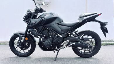 Yamaha MT250