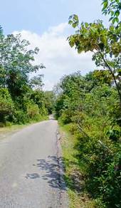 Industrial Land in Tanah Merah, KTN