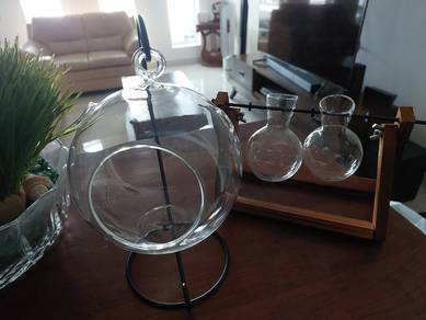 glass containers for plant