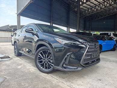 Lexus NX 250 BASE GRADE in Chan Sow Lin, KUL