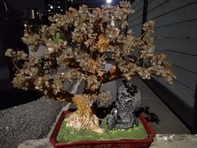 Crystal Bonsai Money Tree