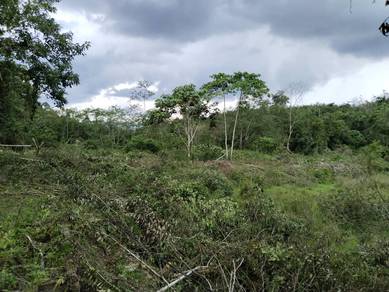 Agricultural Land in Baling, KDH