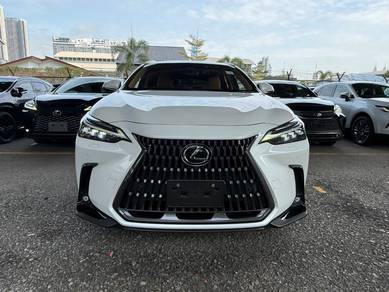 2023 Lexus NX 250 LUXURY