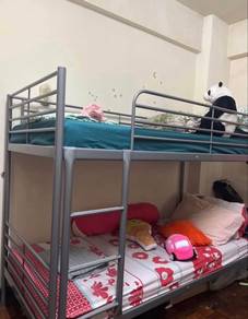 double decker beds