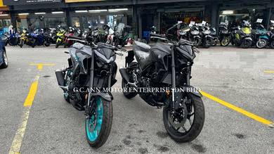 Yamaha MT250