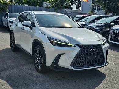 2023 Lexus NX 250 LUXURY