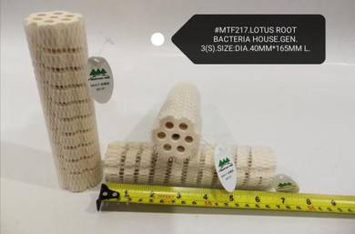 MTF217 Lotus Root Bacteria House Aquarium Pond