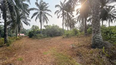 Residential Land in Bukit Katil, MLK