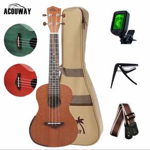 Ukulele (Rarely used)