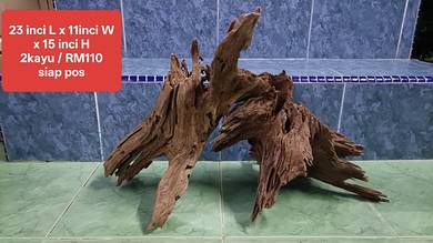 kayu driftwood untuk aquarium 4kaki