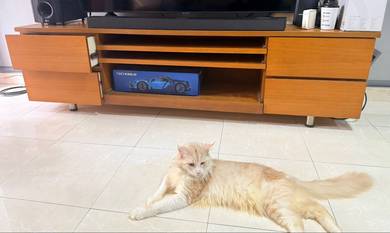 TV Cabinet