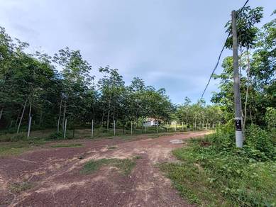 Agricultural Land in Kubang Pasu, KDH