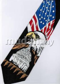 Patriotic American Flag Eagle White House Neck Tie