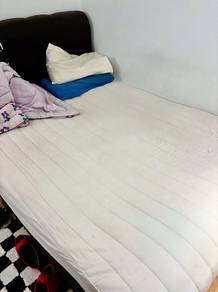 Mlily Beds