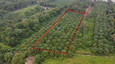 Agricultural Land in Kampong Gajah, PRK