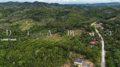 Agricultural Land in Tanah Merah, KTN