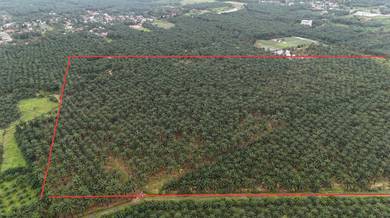 Mixed Development Land in Padang Serai, KDH