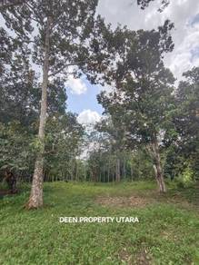 Agricultural Land in Padang Terap, KDH
