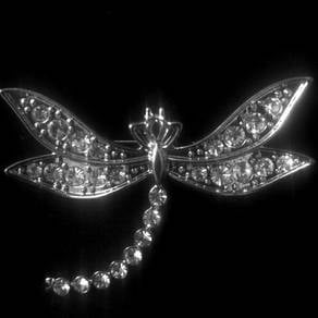 NewNeverOpenFromClipShiningSilver Butterfly BROOCH