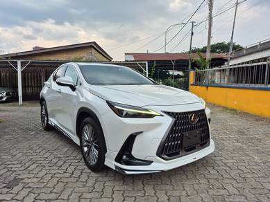 Lexus NX 250 LUXURY in Others, KUL