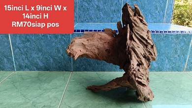 kayu aquascape - driftwood mesti tenggelam