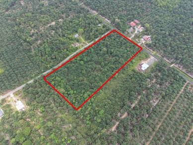 Agricultural Land in Ayer Hitam, JHR