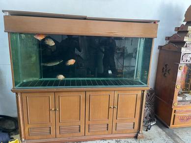 6ft aquarium for sale