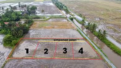 Residential Land in Kuala Perlis, PLS