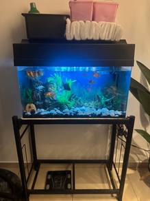 Akuarium 2.5 kaki curve sekali stand