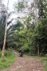 Agricultural Land in Besut, TRG