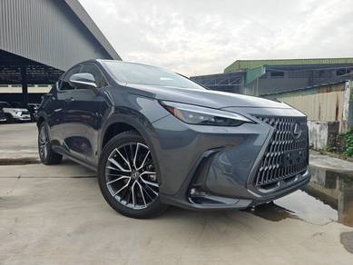 Lexus NX 250 LUXURY in Chan Sow Lin, KUL