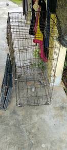 sangkar kucing 