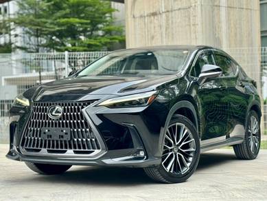 2022 Lexus NX 250 LUXURY