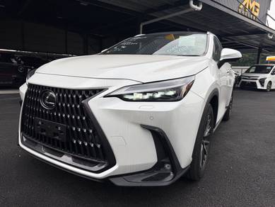 Lexus NX 250 LUXURY in KLCC, KUL