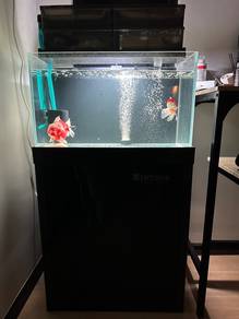 Akuarium 2ft Full Set + semua