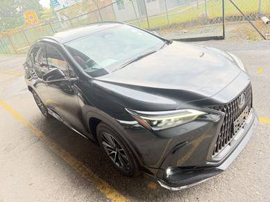Lexus NX 250 LUXURY in Cheras, KUL