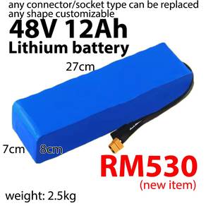 48V LITHIUM BATTERY electric bicycle scooter ebike
